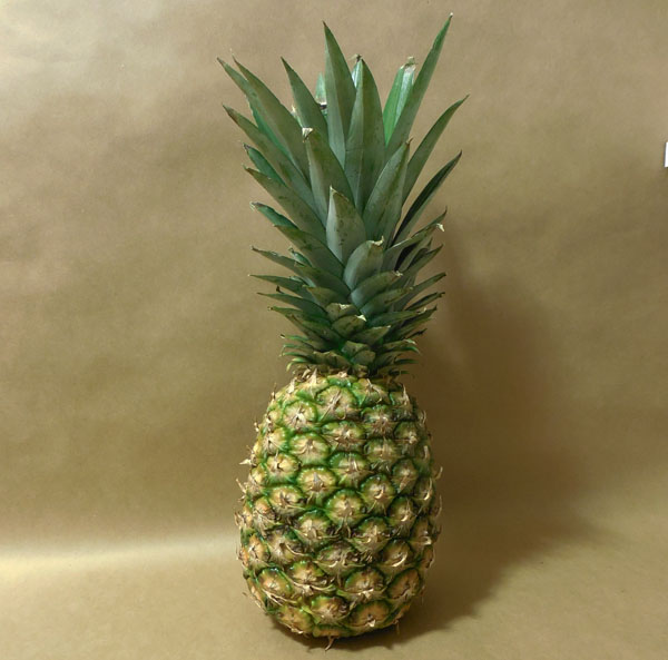 diy pineapple photography