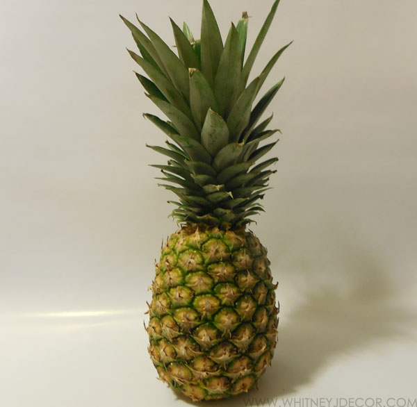 diy pineapple photography