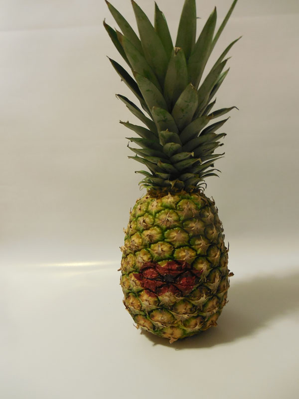 diy pineapple photography