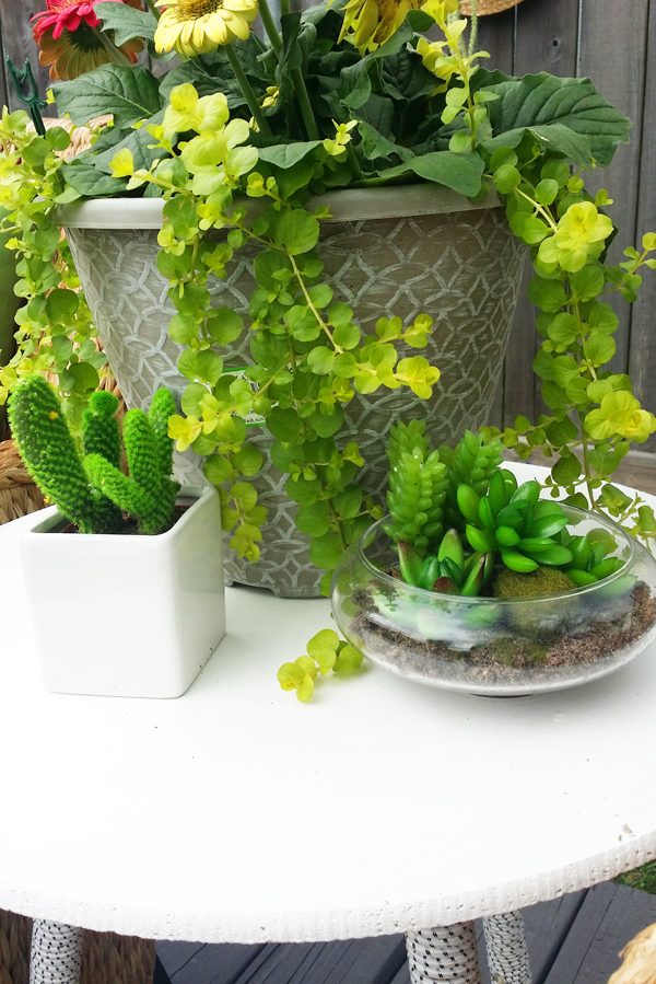 backyard transformation for the home depot patio style challenge