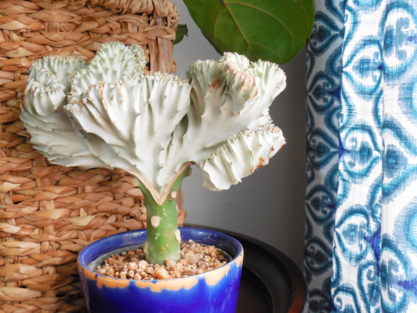 small living room tour via whitneyjdecor.com