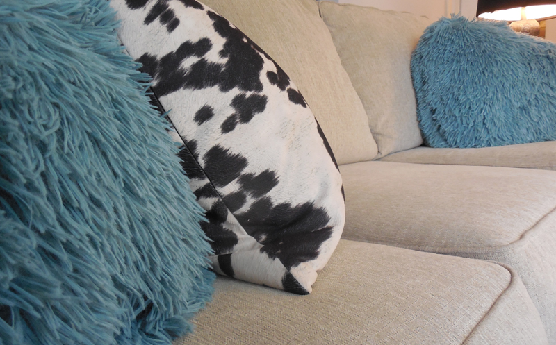 comfy sofa for netflix and chill