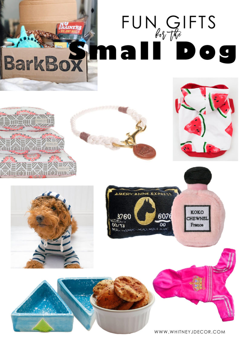 gift ideas for small dogs | gift ideas for puppies | gift ideas for maltipoos