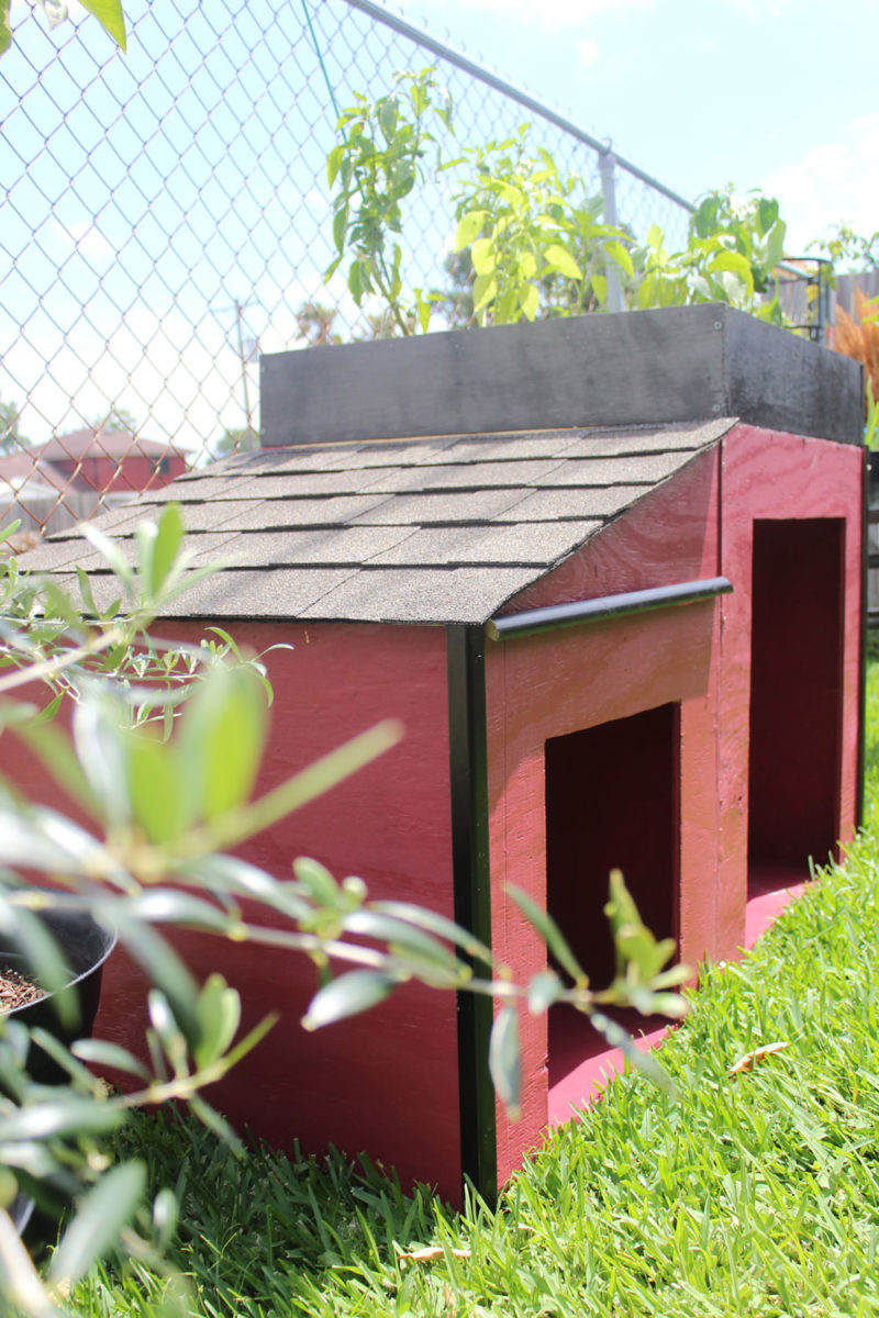 roofing a dog house | whitney J Decor blog | dog house diy | raised bed garden diy | garden and dog house | garden near a dog house