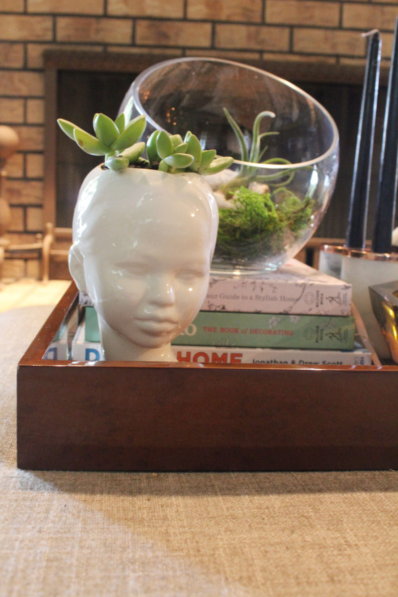 succulent planters, how to plant succulents, recycle old candle jars, three succulent planter ideas for planting succulents, use vintage planters to plant succulents