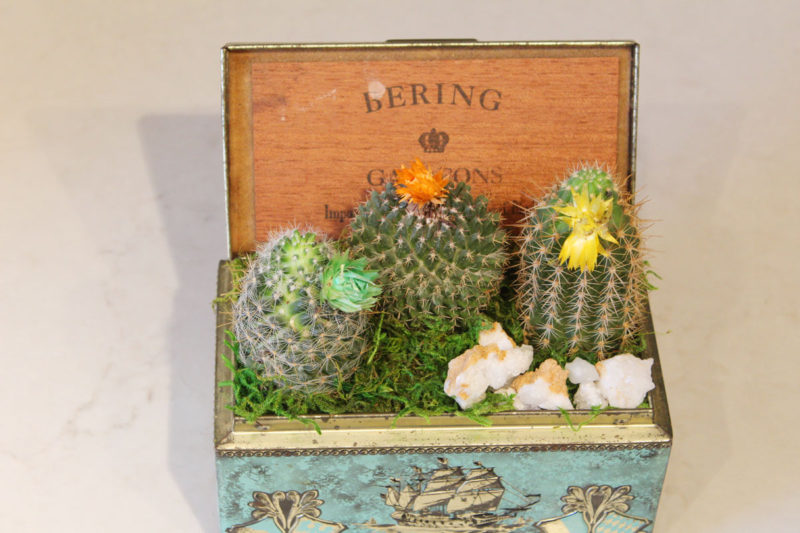 succulent planters, how to plant succulents, recycle old candle jars, three succulent planter ideas for planting succulents, use vintage planters to plant succulents