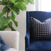 propagating a fiddle leaf fig tree | fiddle fig leaf tree