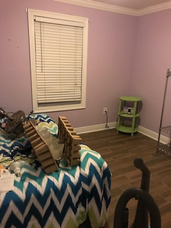 boring before photo | one room challenge week 1 | bold colorful guest bathroom | whitney J Decor | nola decorator | new orleans interior design | new orleans decorator | nola interior designer | nola homes | new orleans homes |