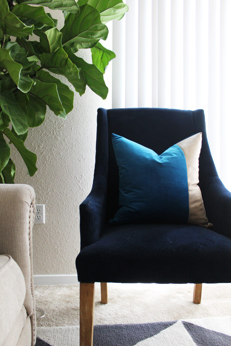 fiddle leaf fig tree | propagating a fiddle leaf fig tree | fiddle leaf fig tree tips