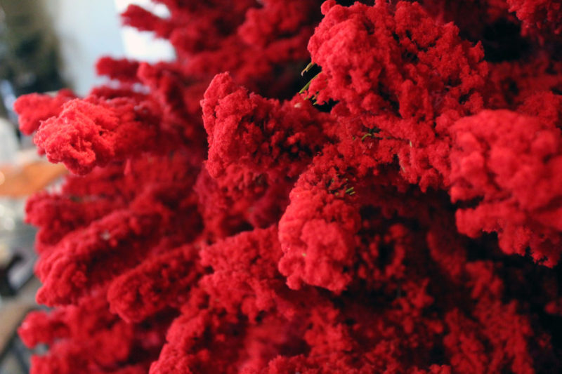 red christmas tree