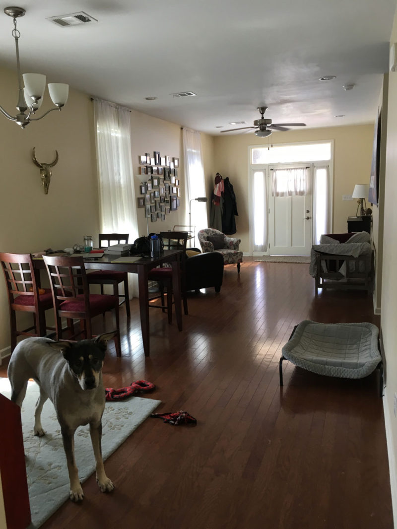 BEFORE | colorful, boho living room | whitney j decor | new orleans interior designer | new orleans decorator | new orleans homes