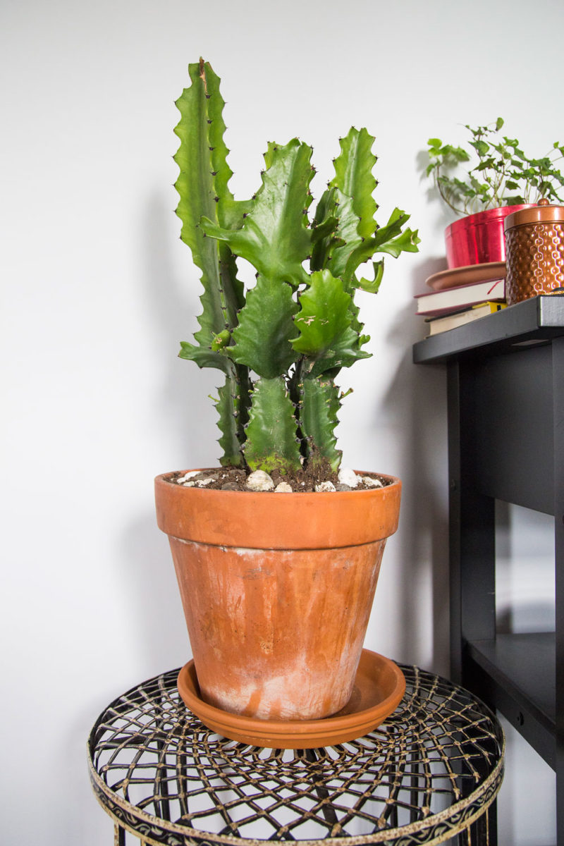 colorful, boho living room | whitney j decor | new orleans interior designer | new orleans decorator | new orleans homes