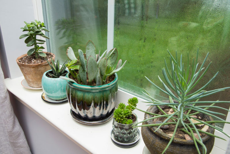 colorful, boho living room | whitney j decor | new orleans interior designer | new orleans decorator | new orleans homes