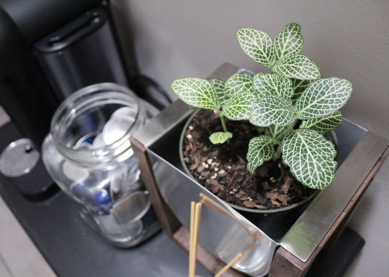 kitchen hallway decor | kitchen decor | coffee station | whitney j decor | new orleans blogger | nola blogger