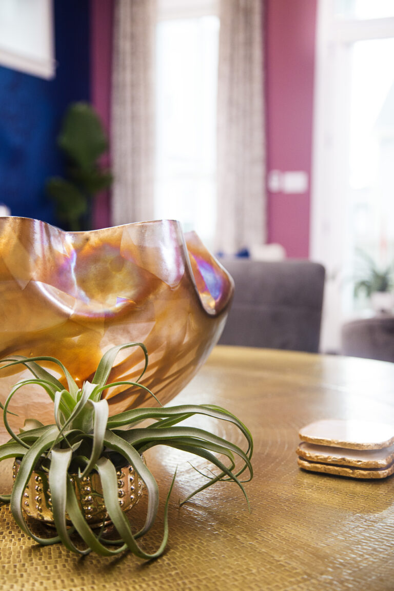 Britt Smith Photography, New Orleans Photographer, Metairie Photographer, black photographer, black business, Black interior designer, Whitney Jones, Whitney J Decor